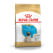 Royal Canin Pug Puppy – Hrană Uscată pentru Căței din Rasa Pug, 1,5 kg